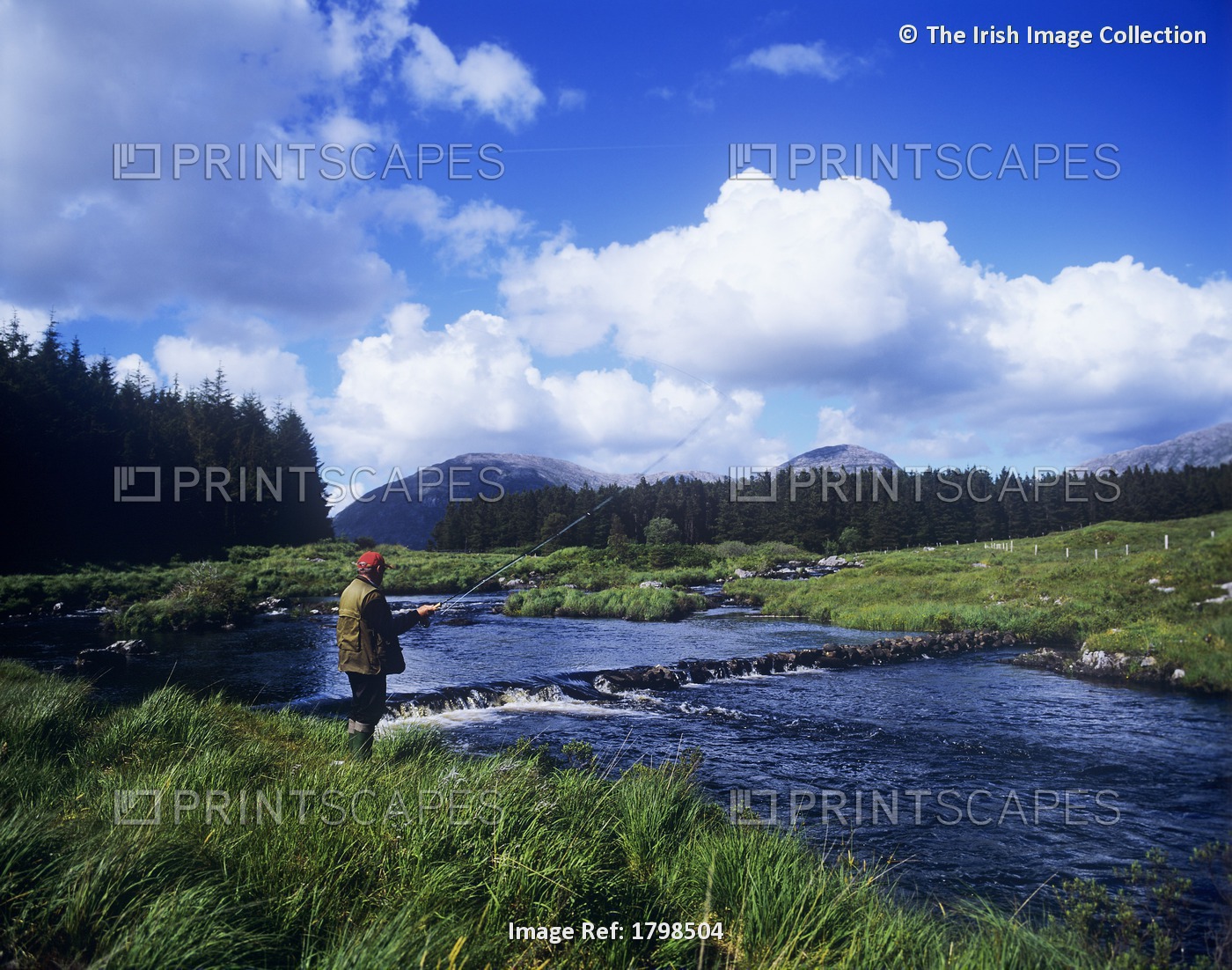 Side Profile Of A Man Fly-Fishing In A River, Connemara, County Galway, ...