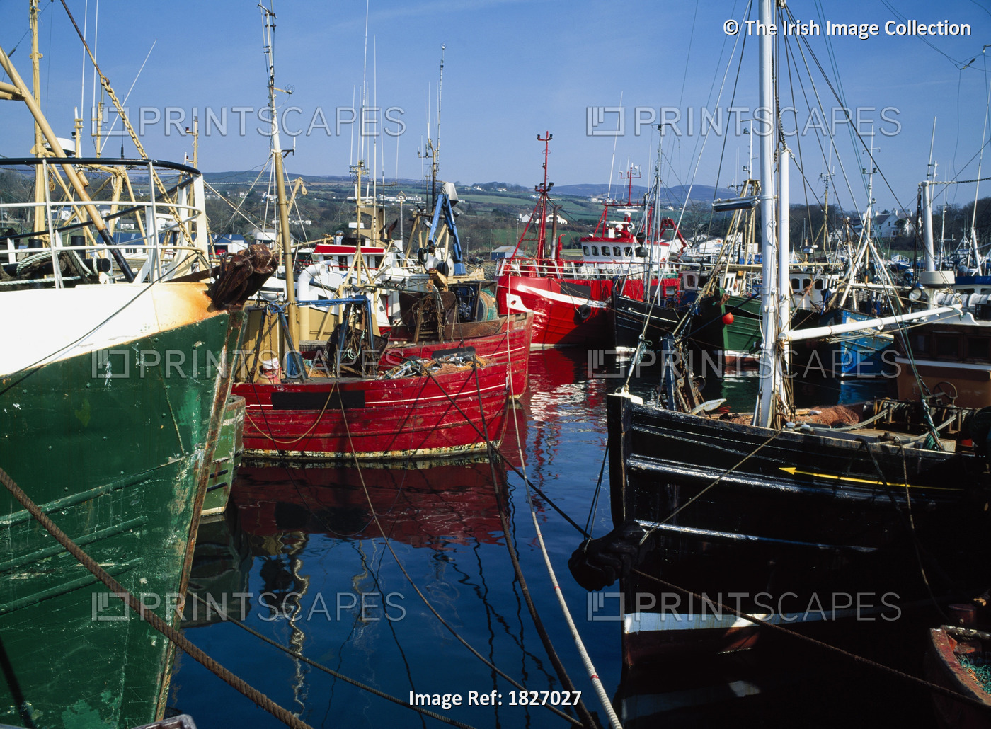 Greencastle, Lough Foyle, Co Donegal, Ireland; Boats At A Commercial Fishing ...