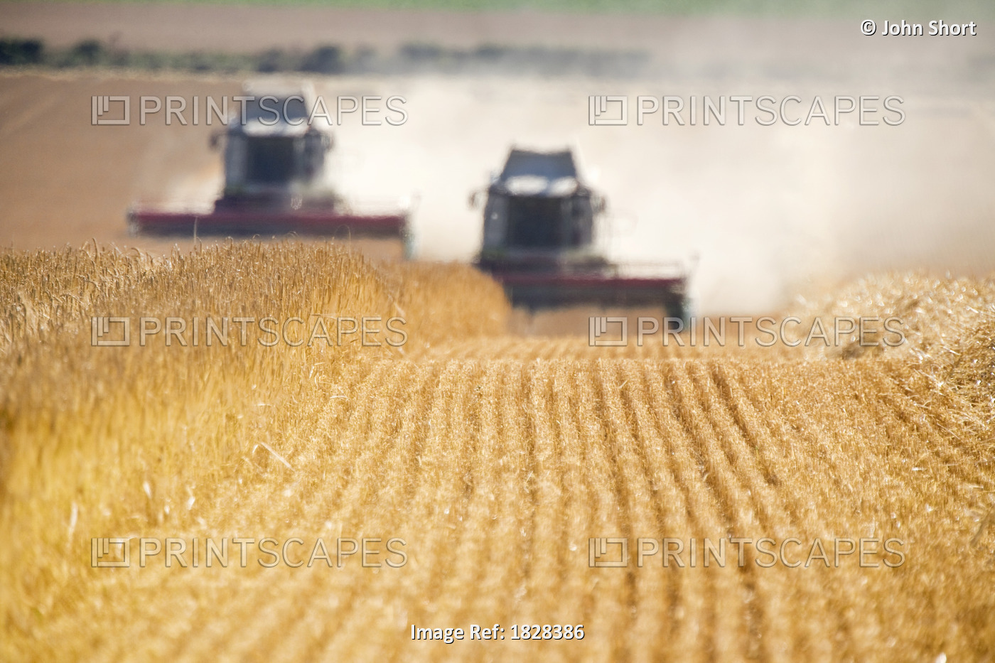 Combines Harvesting Field, North Yorkshire, England