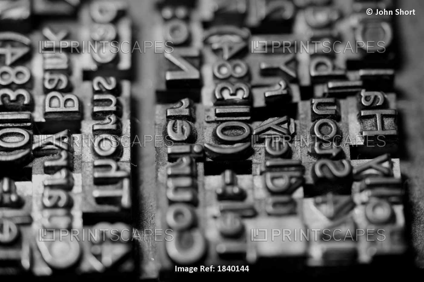 Letterpress Type