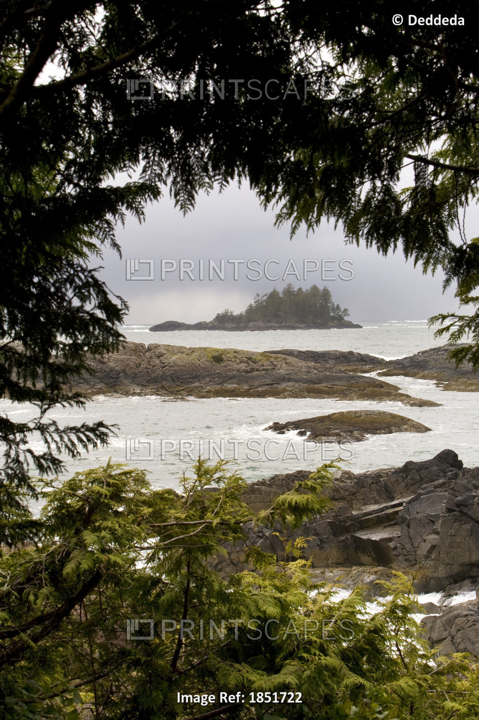 Coastal Scenery, Tofino, British Columbia, Canada