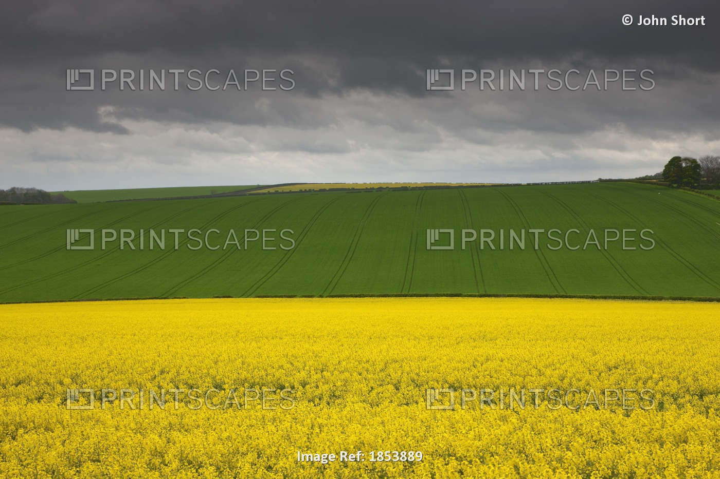 Fields; North Yorkshire, England