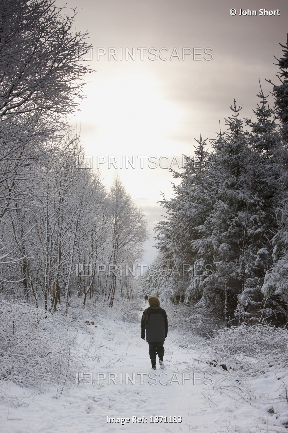 Northumberland, England; A Woman Walking Down A Snowy Path Through A Forest