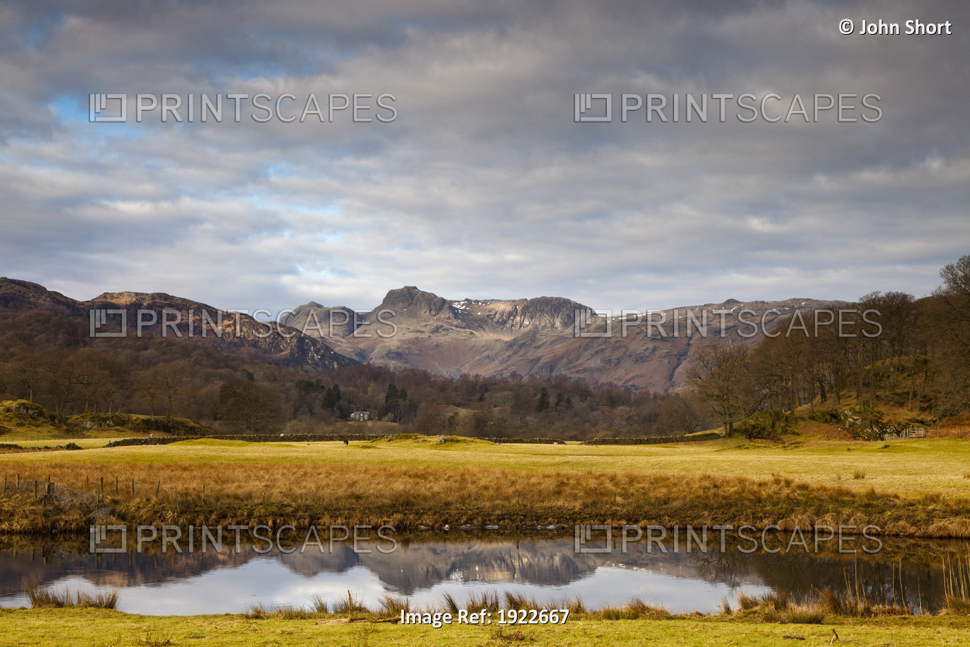 Mountains Reflected In A Pond; Langdales, Cumbria, England