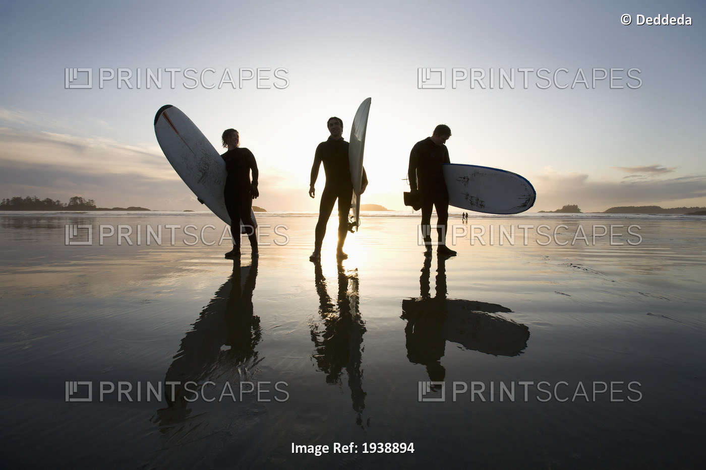 Silhouette Of Three Surfers Carrying Surfboards; Chesterman Beach Tofino ...