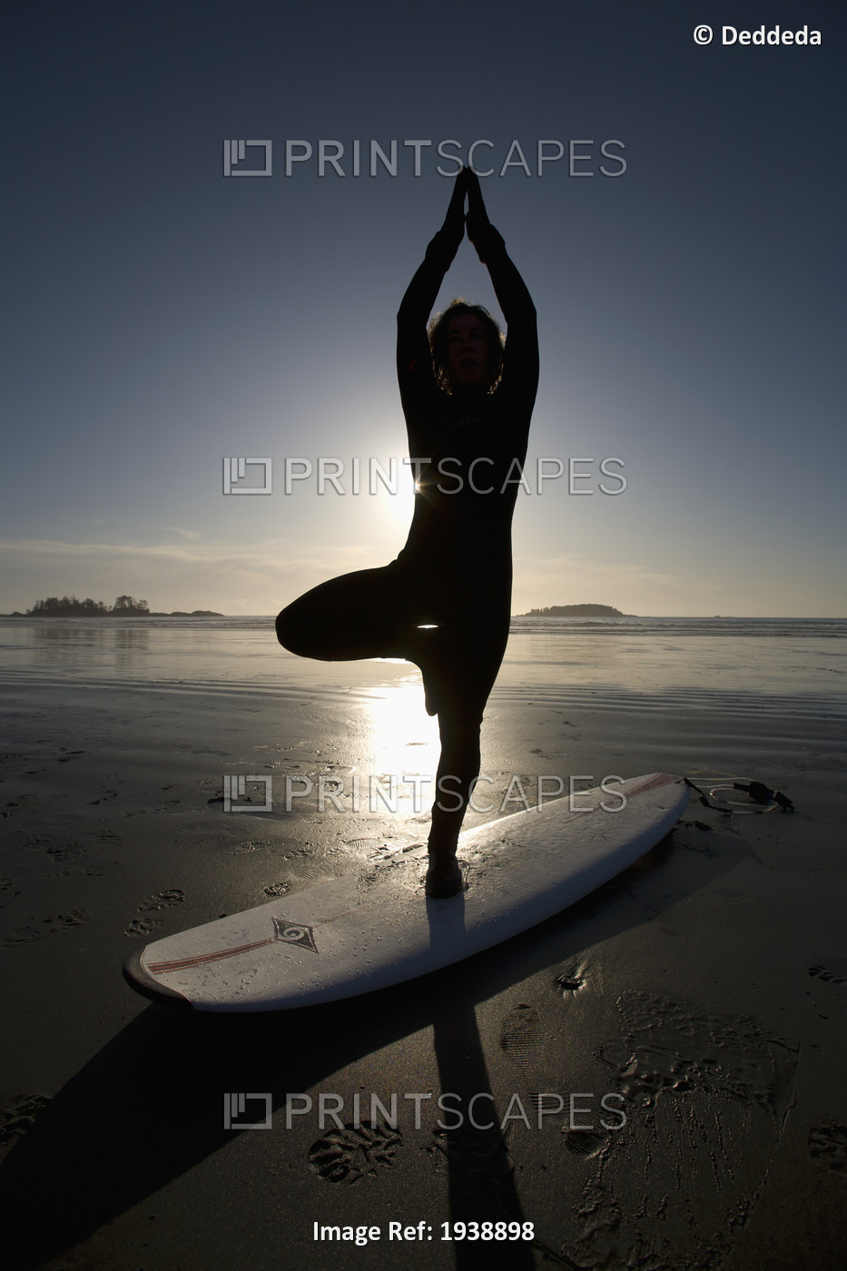 Silhouette Of Female Surfer Doing Yoga Tree Pose; Chesterman Beach Tofino ...
