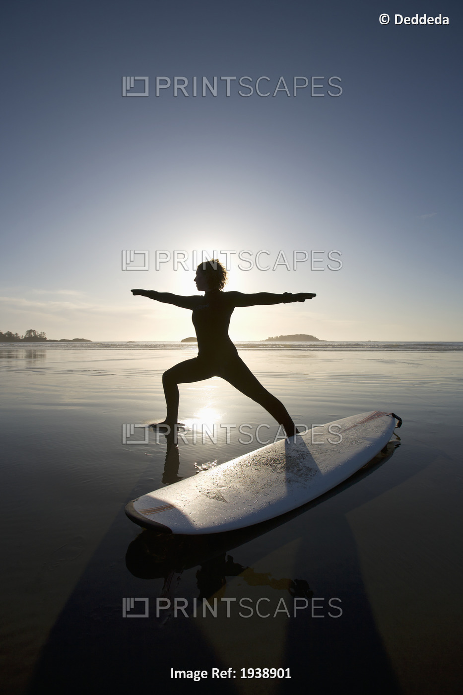 Silhouette Of Female Surfer Doing Warrior Yoga Pose; Chesterman Beach Tofino ...