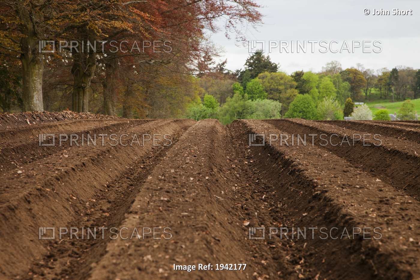 Farm Land Tilled And Ready For Planting; Perth, Scotland
