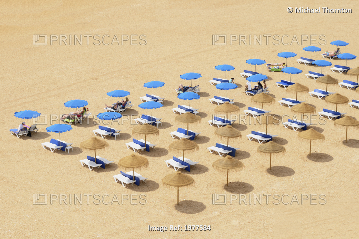 Beach Chairs And Umbrellas Set Up In Row On The Beach; Albufeira Algarve ...
