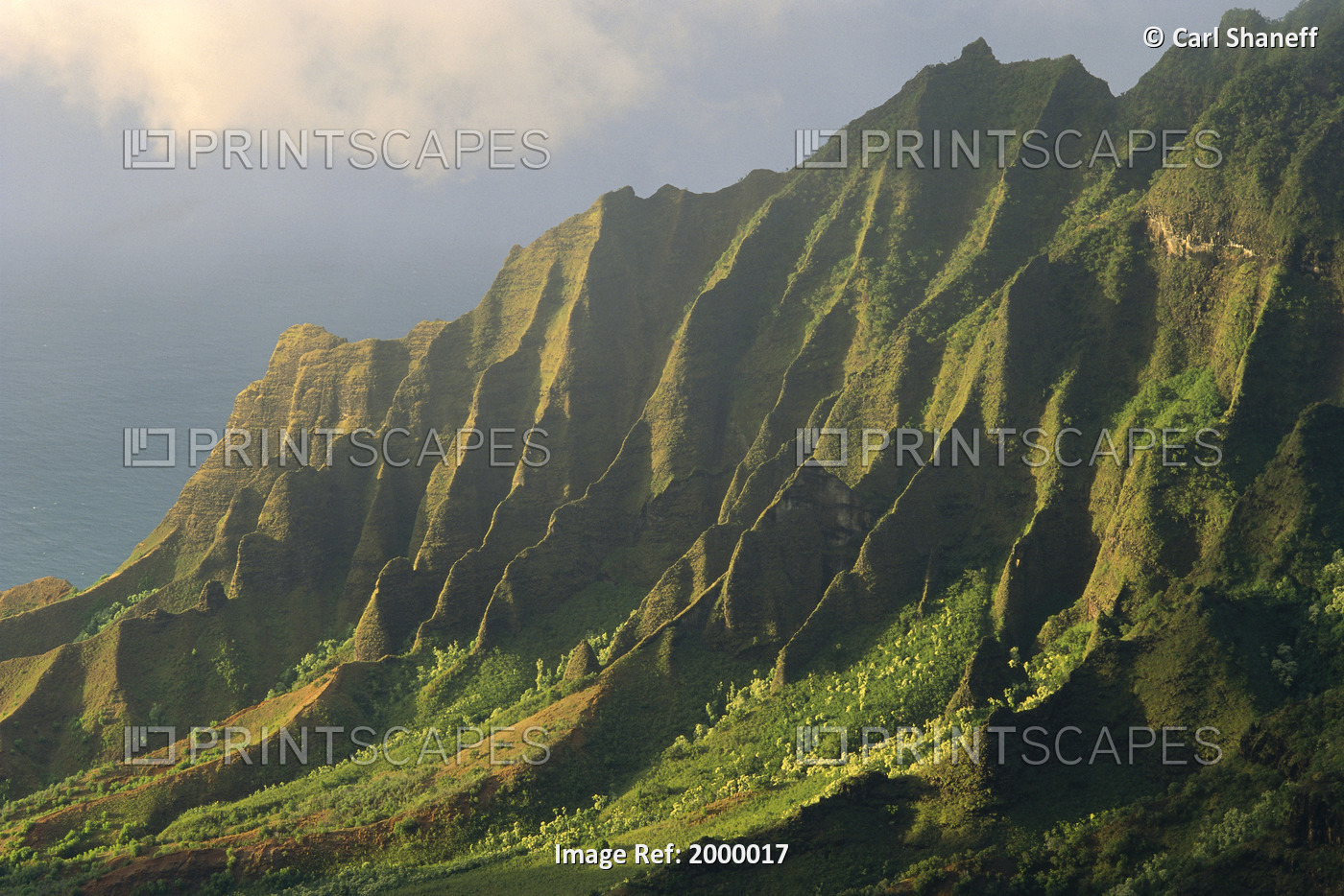 Hawaii, Kauai, Na Pali Coast, Kalalau Valley, Detail Of Green Cliff Side C1545