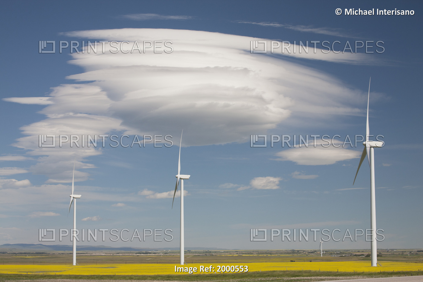 Dramatic Clouds With Blue Sky And Wind Mills In A Flowering Canola Field; ...