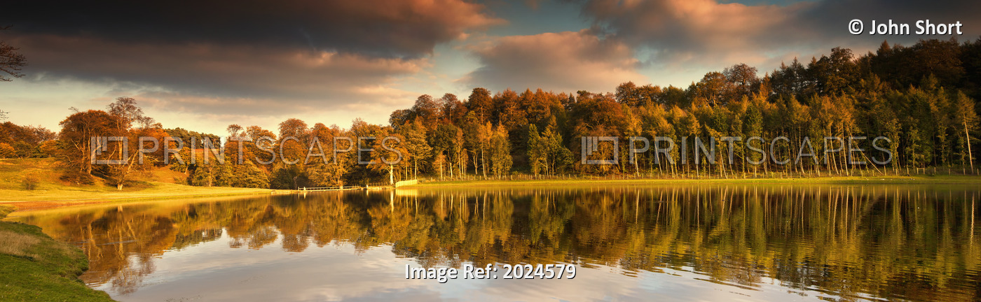 Trees Lining The Water's Edge Reflected In The Water In Autumn; North ...