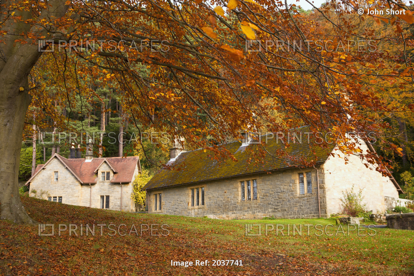 Houses With Trees In Autumn Colours; Northumberland England