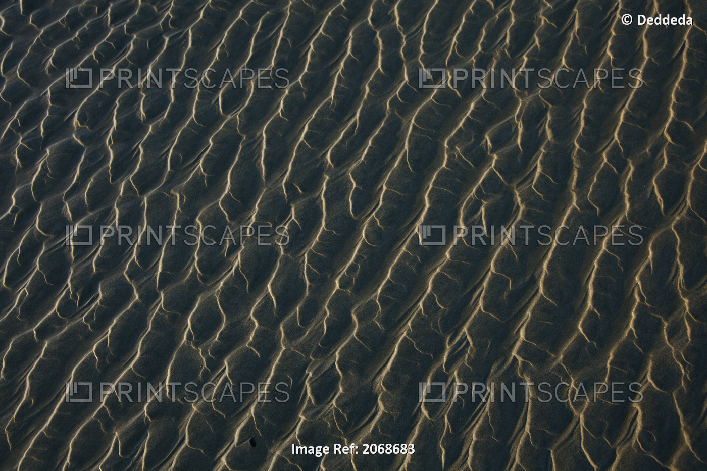 Ripples Form In The Sand At Chesterman's Beach And Frank Island Near Tofino; ...