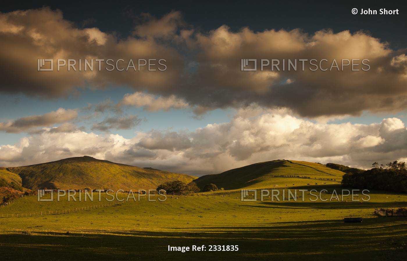 Clouds casting shadows on a hilly landscape with sheep grazing on the ...
