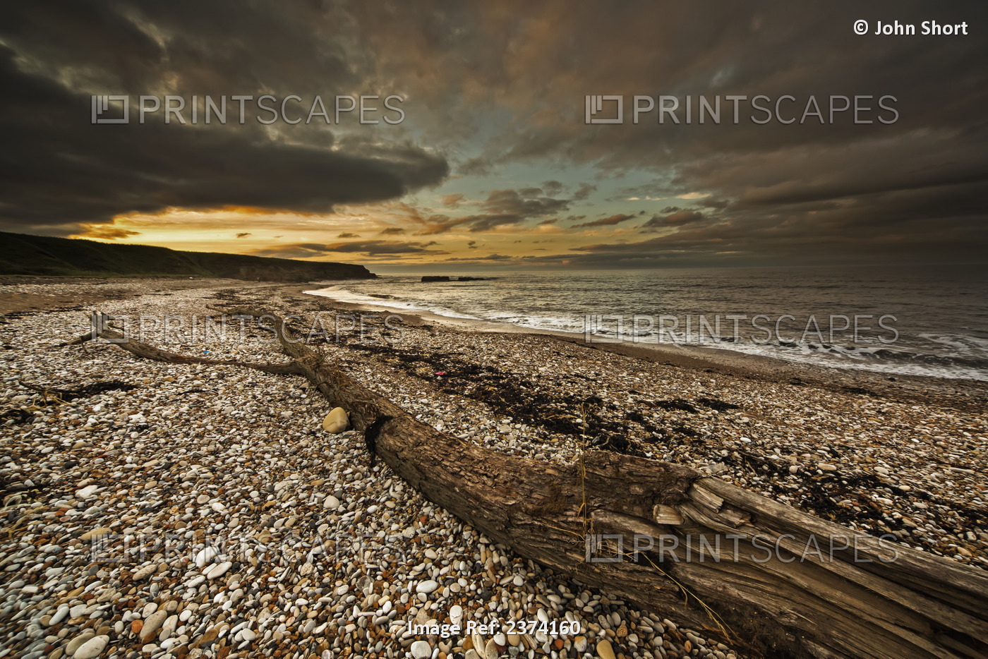 Driftwood On A Pebble Beach At Sunset With Dark Clouds In A Dramatic Sky; South ...