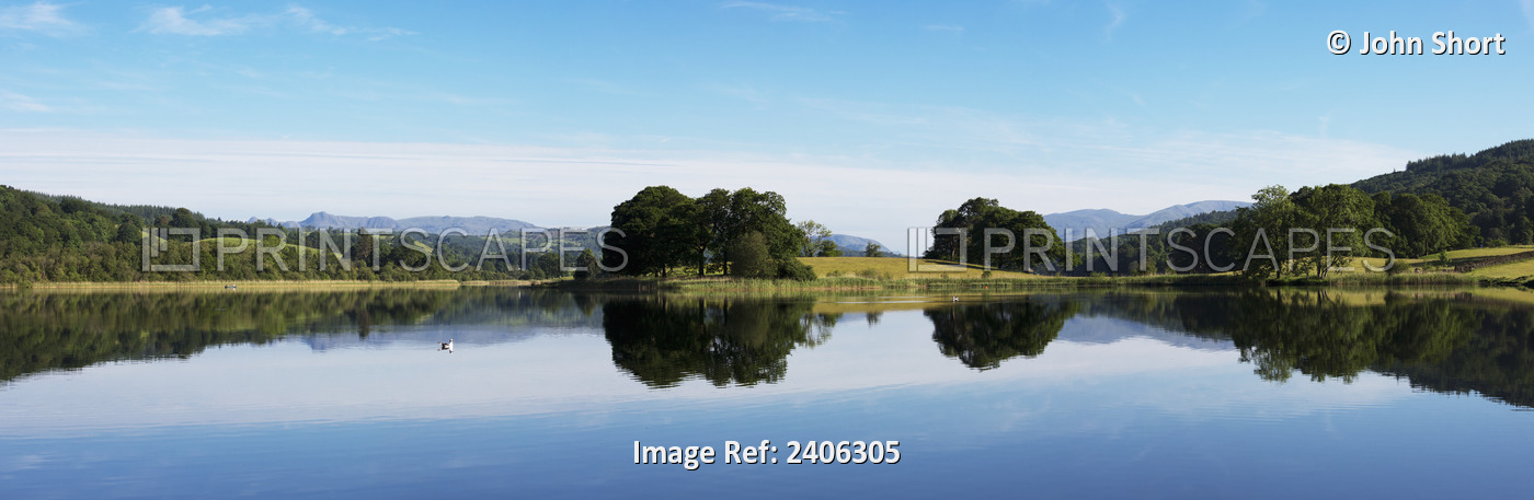 Mirror Image Of Trees Along A Shoreline Reflected In A Tranquil Lake; Lake ...