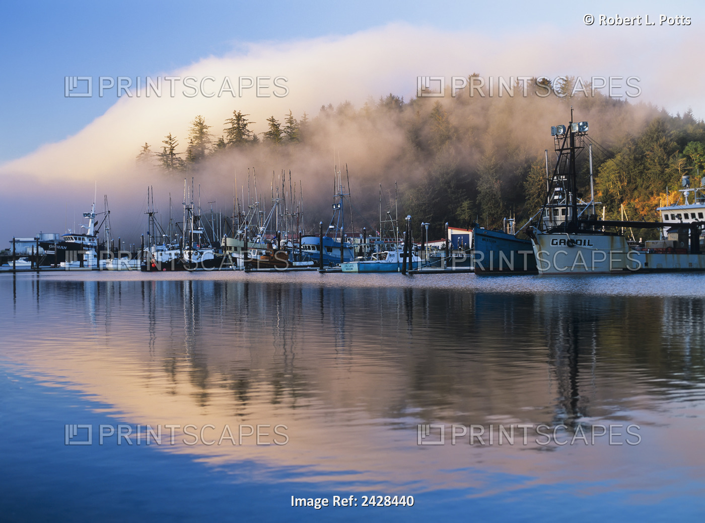Boats Dock At Winchester Bay; Oregon, United States Of America