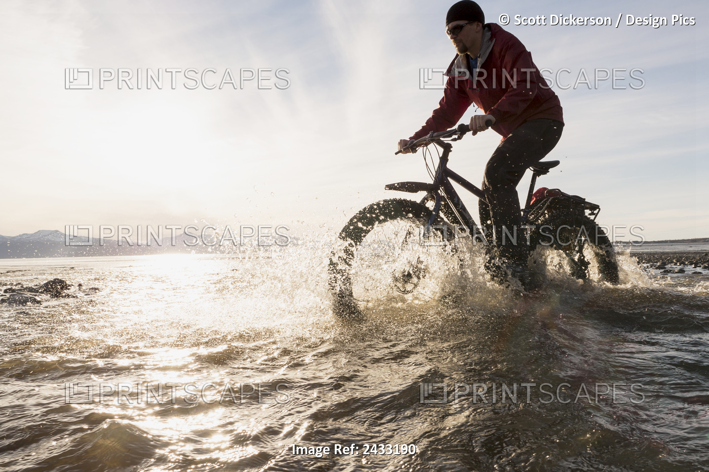 Bicyclist Riding His Fat Bike Across A Tidal Stream Along Kachemak Bay, Homer, ...