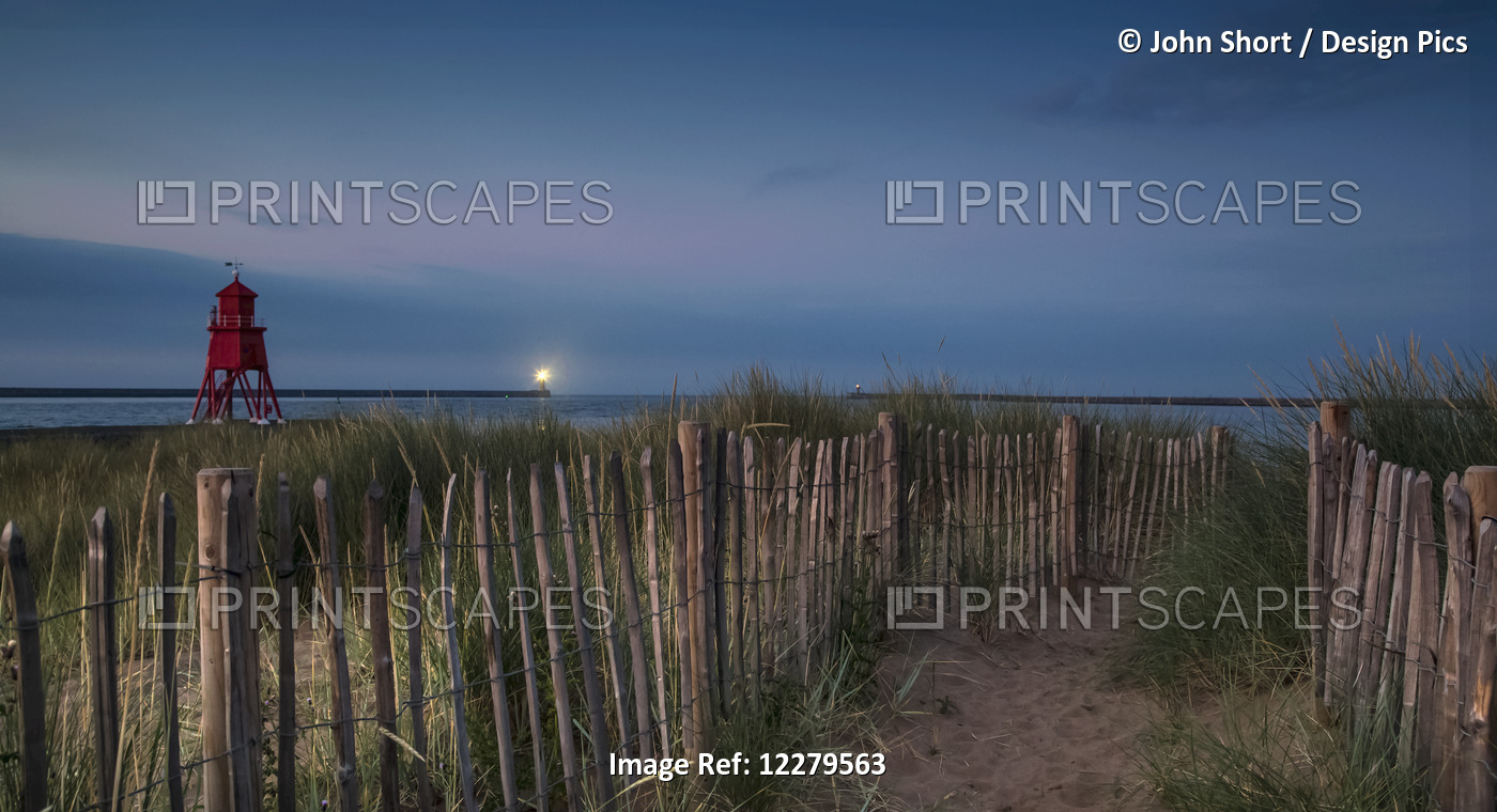 A Sand Pathway Lined With A Wooden Fence Leading To The Beach With The Herd ...