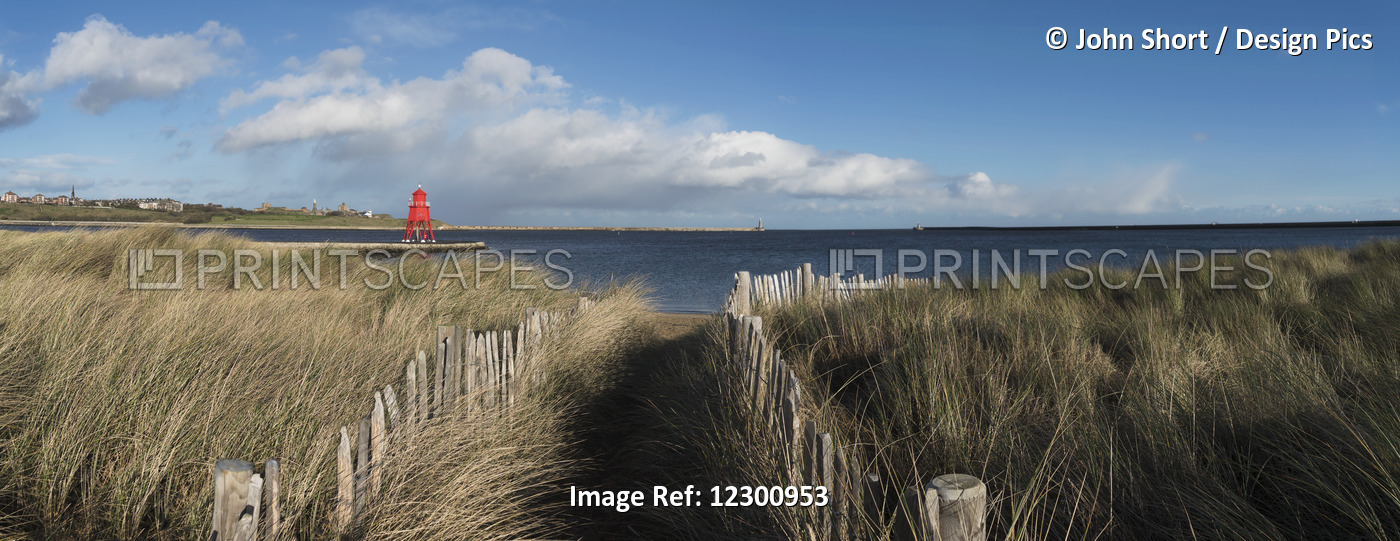 Path Lined With Wooden Posts And Tall Grass At The Coast, Herd Groyne ...
