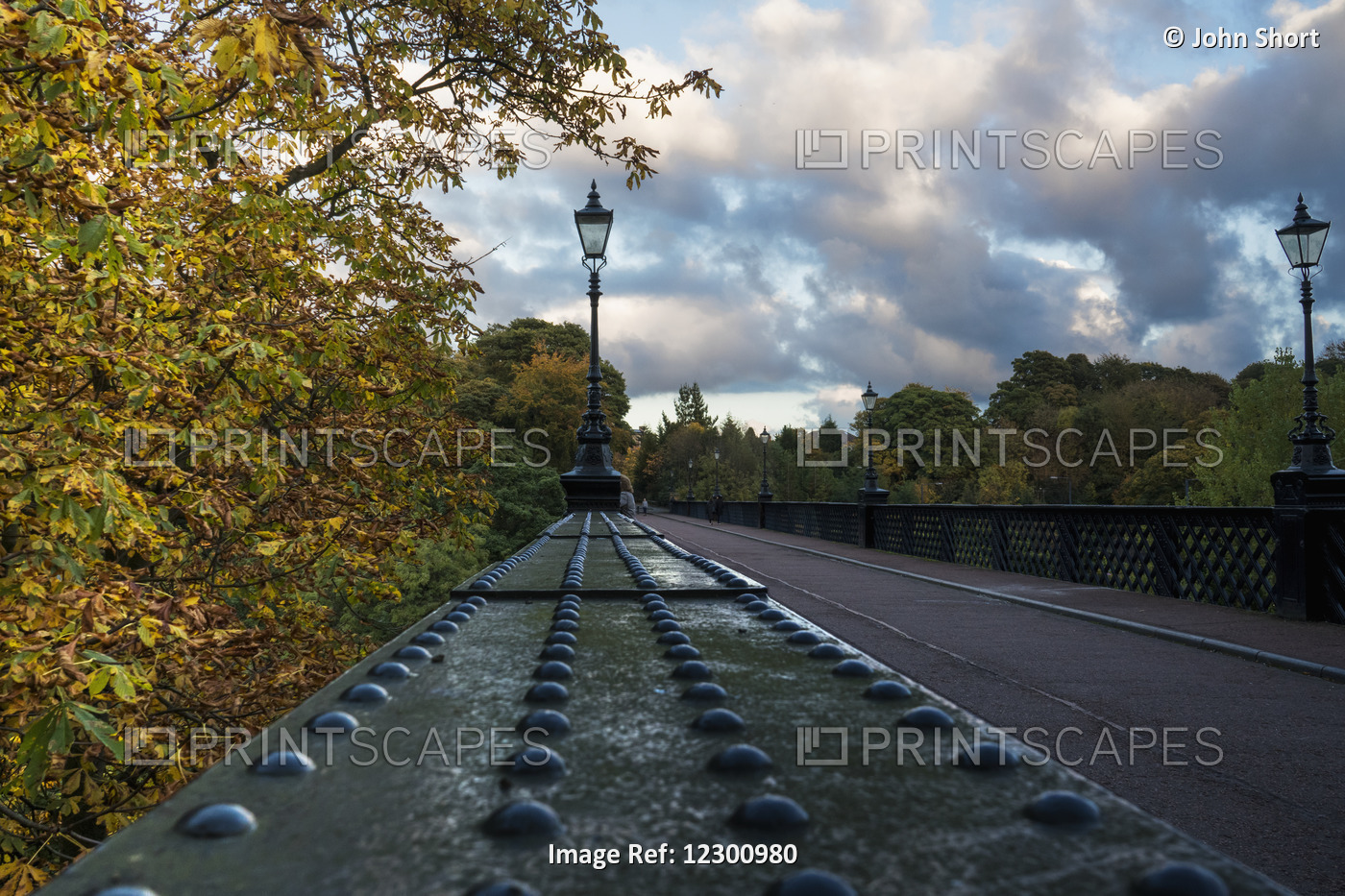 Lamp Posts Along A Street In Autumn; Newcastle, Tyne And Wear, England