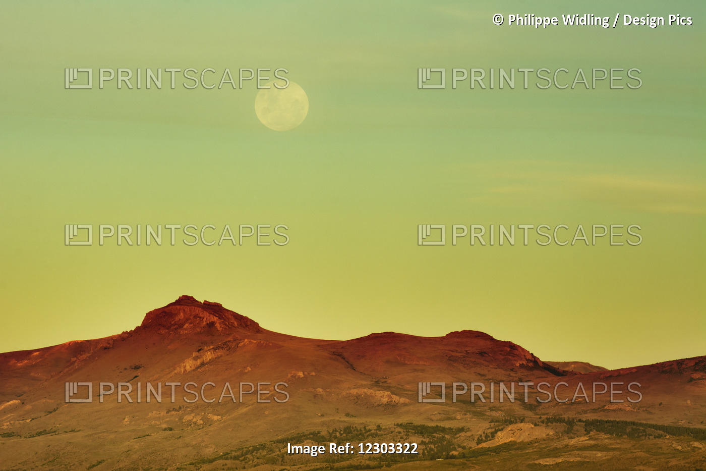 The Moon Is Rising Over A Yellow Desert Landscape; Bariloche, Argentina