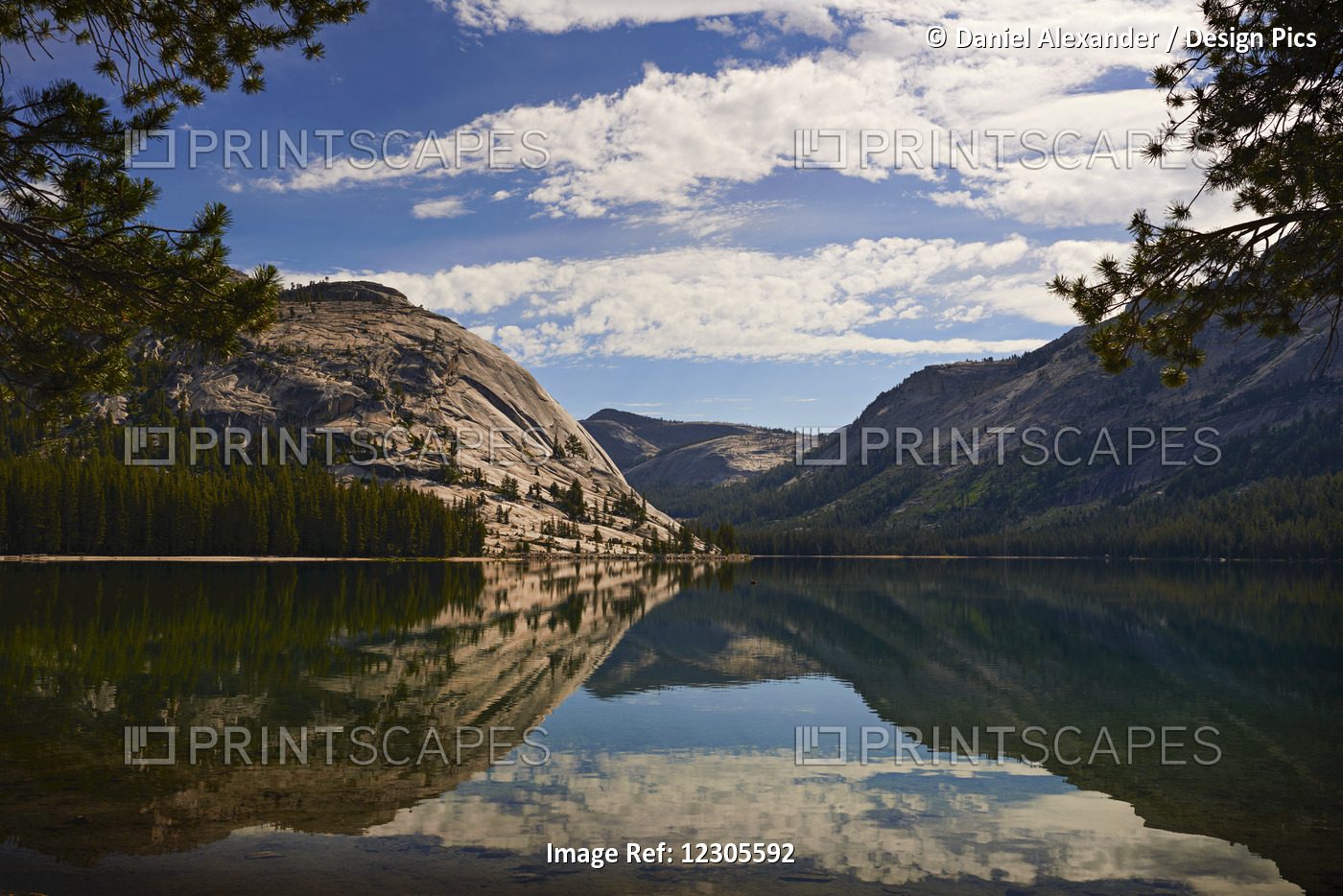 View Of Tenaya Lake Along Tioga Pass, Yosemite National Park; California, ...