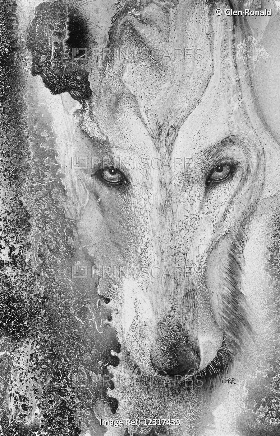 Wolf, Black And White Artwork