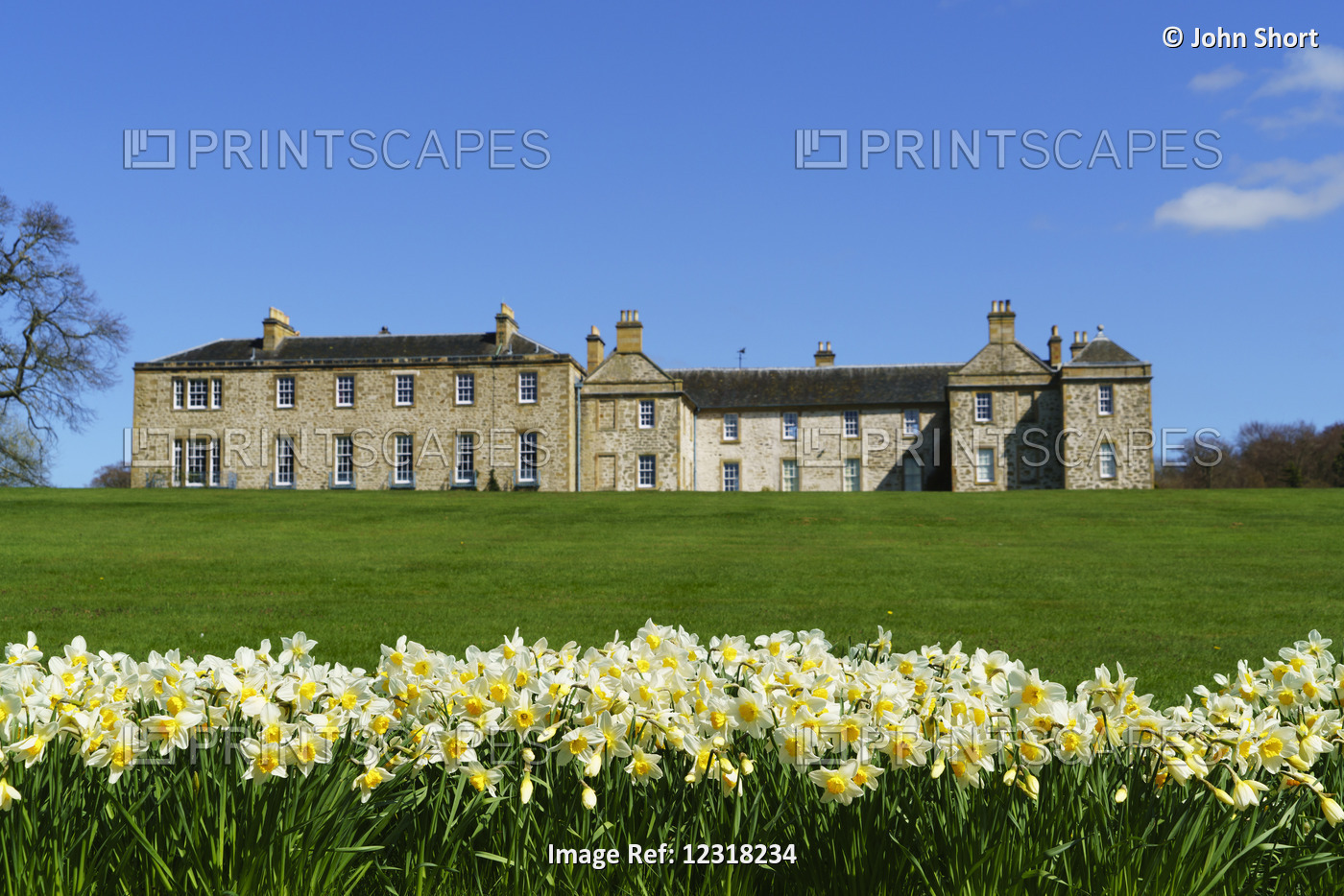 Large House With Lush Grass And Daffodils In Bloom In The Foreground; ...