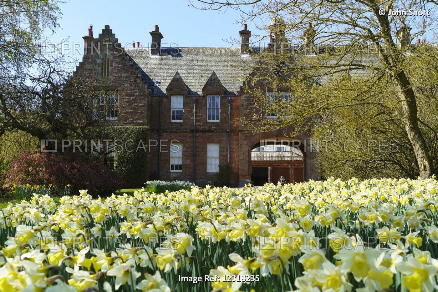 House With New Growth On Trees And Daffodils In The Foreground; Northumberland, ...