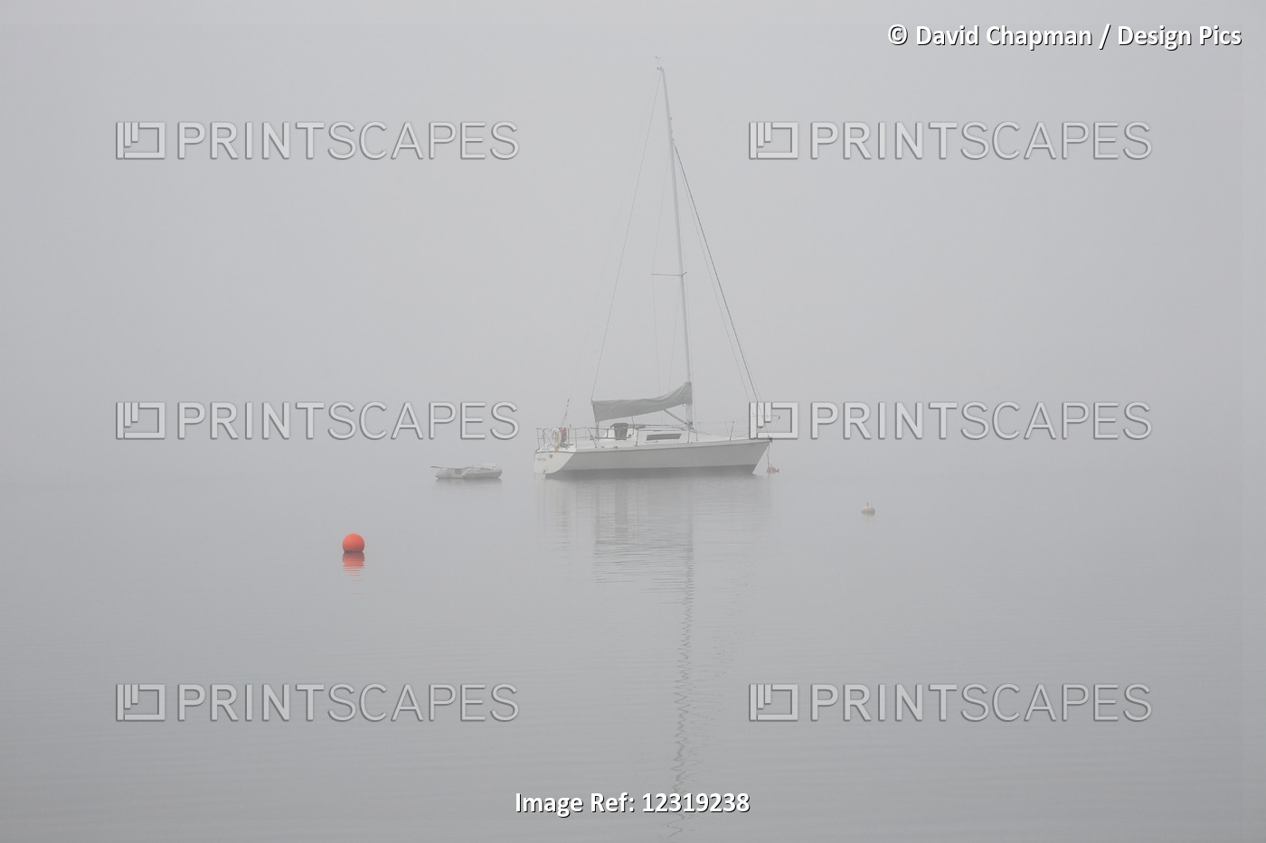 Misty morning sailboat