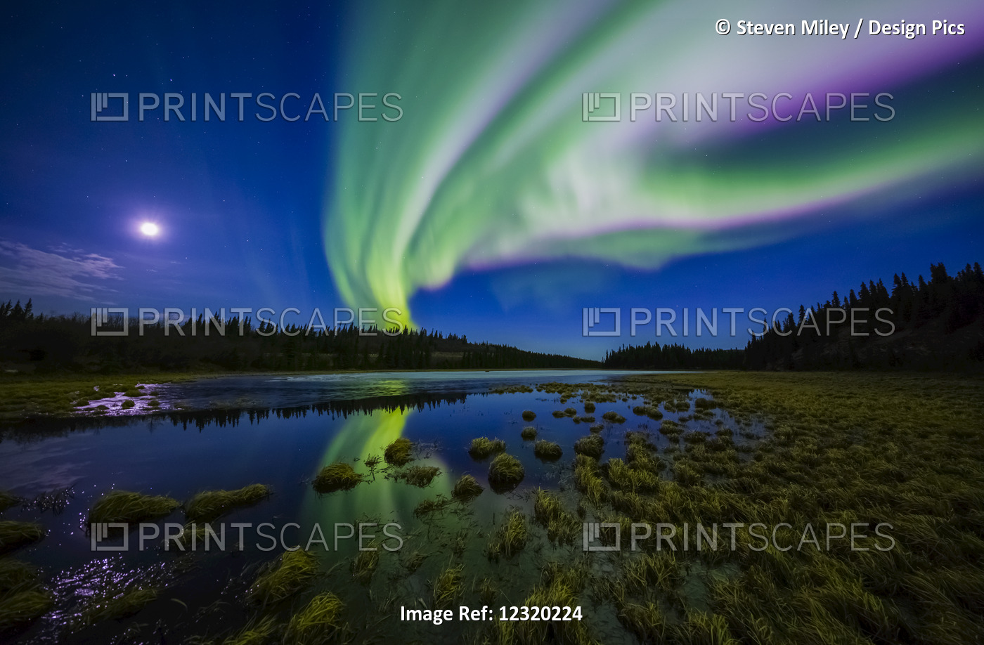 The Aurora Borealis Competes Against The Moon In The Night Sky Above A ...