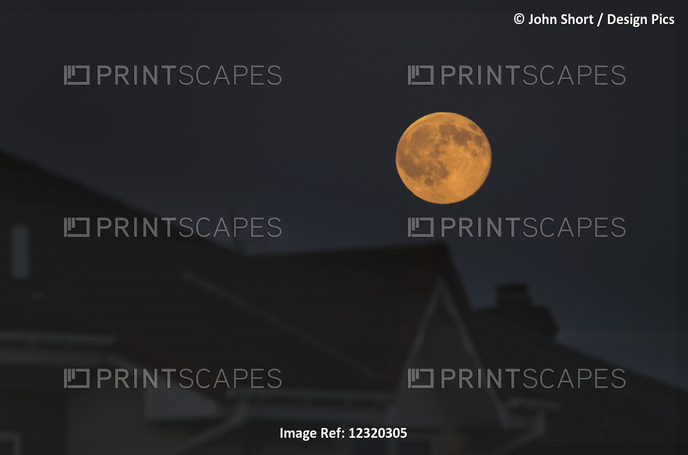 Full Harvest Moon Glowing In The Night Sky Over Houses; South Shields, Tyne And ...
