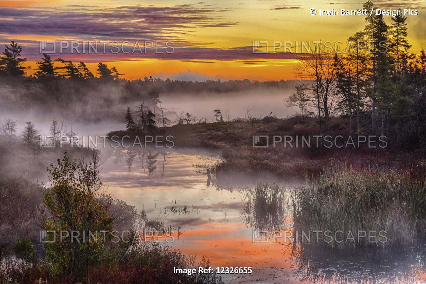 Morning Mists Rises Off Rocky Lake; Bedford, Nova Scotia, Canada