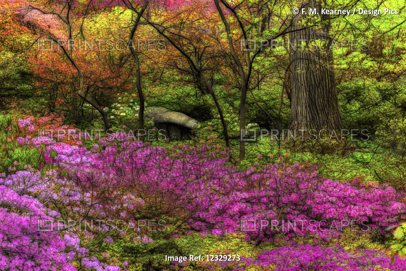 Azalea Garden, New York Botanical Garden; Bronx, New York, United States Of ...