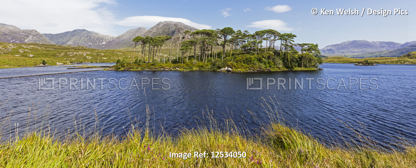 Pines Island in Derryclare Lough; Connemara, County Galway, Republic of Ireland