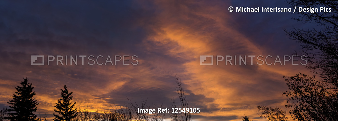 Dramatic panorama of colourful chinook clouds at sunset with trees in the ...