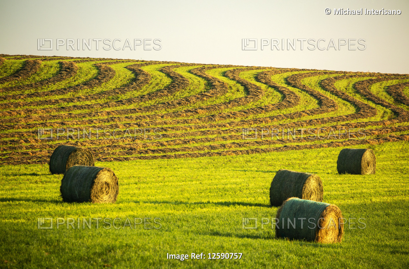 Hay bales in a green field with curvy harvest lines on a rolling hillside in ...