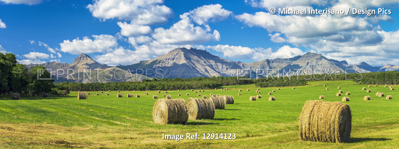 Panorama of hay bales in a green field with mountains, blue sky and clouds in ...
