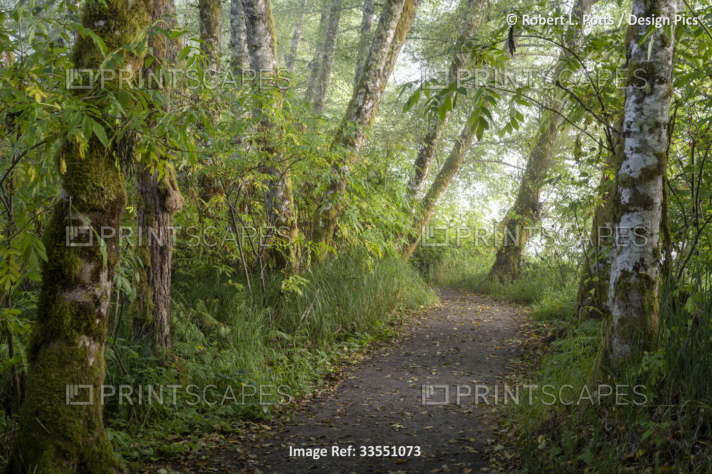 A hiking trail passes along the Netul River at Lewis and Clark National ...